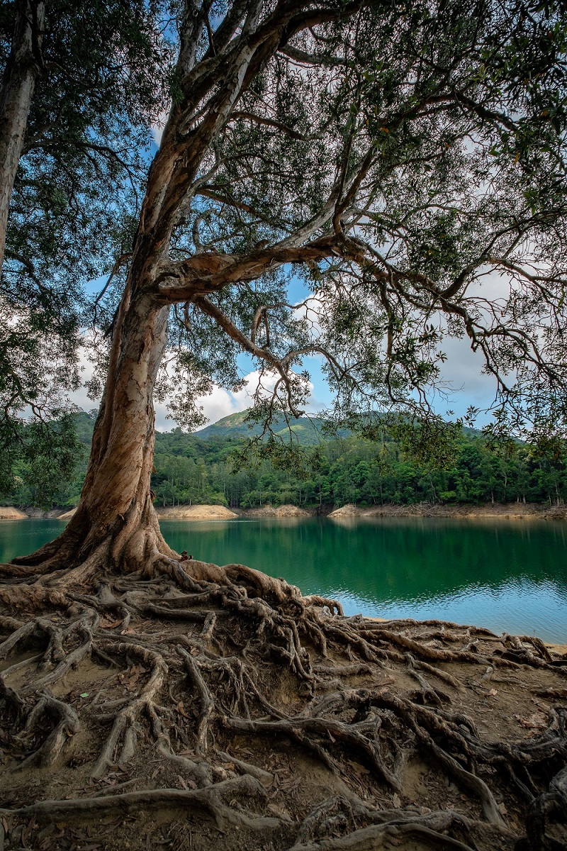作者姓名：Jimmy Chan&nbsp;&nbsp;&nbsp;&nbsp;镜头型号：CF 10mm F4.0 Cookie